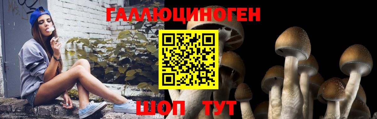 Галлюциногенные грибы мицелий  Вход с VPN  Чернушка 